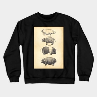 4 pigs Crewneck Sweatshirt